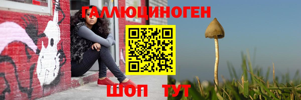 Галлюциногенные грибы Psilocybine cubensis  продажа наркотиков  Полевской  Псилоцибиновые грибы GOLDEN TEACHER  Вход с VPN 