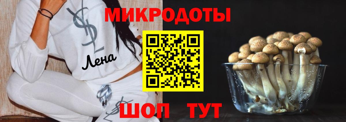 Галлюциногенные грибы Cubensis Полевской